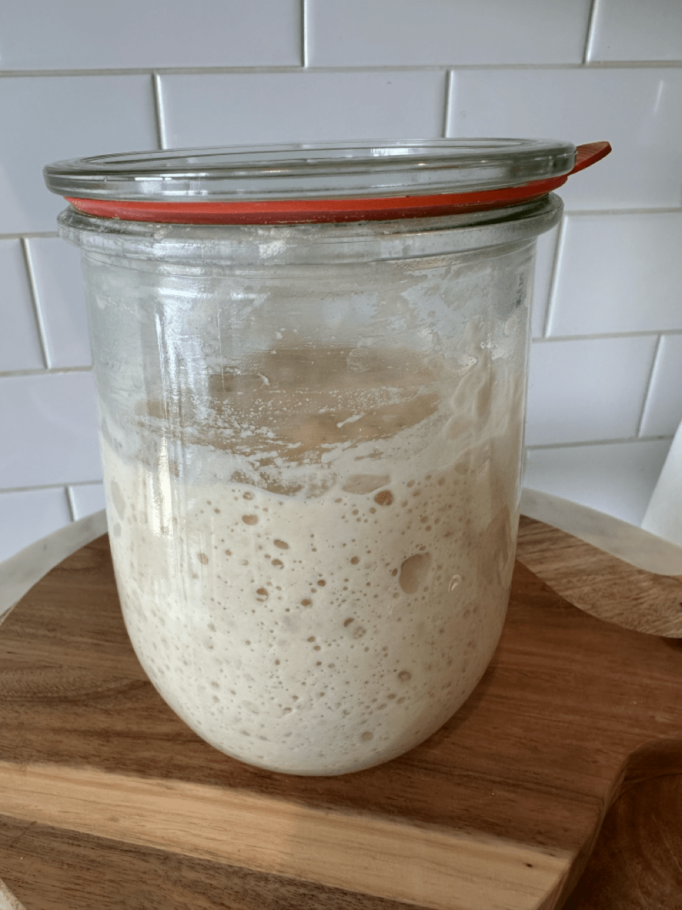 100g sourdough starter