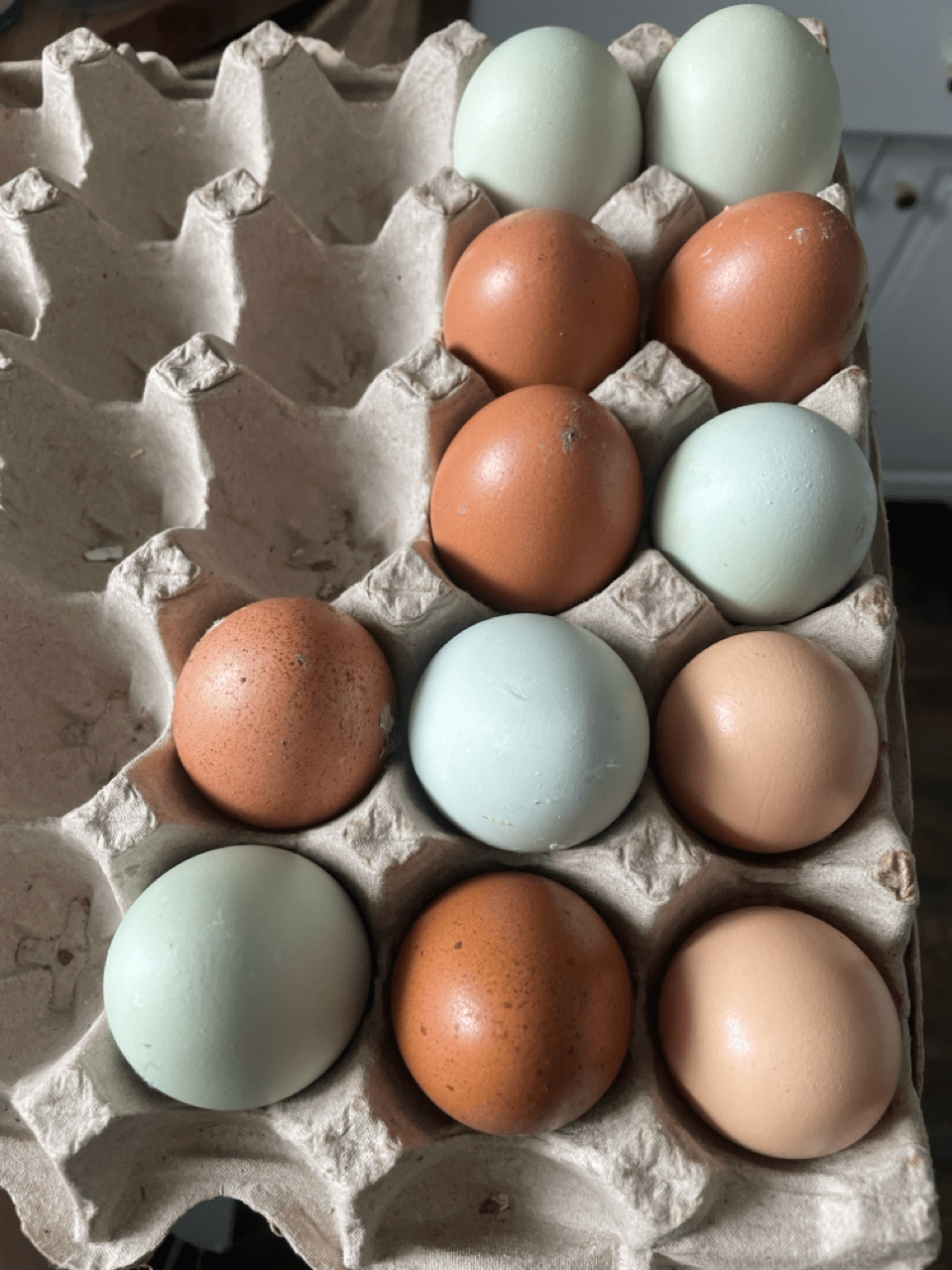 Eggs (12 count)