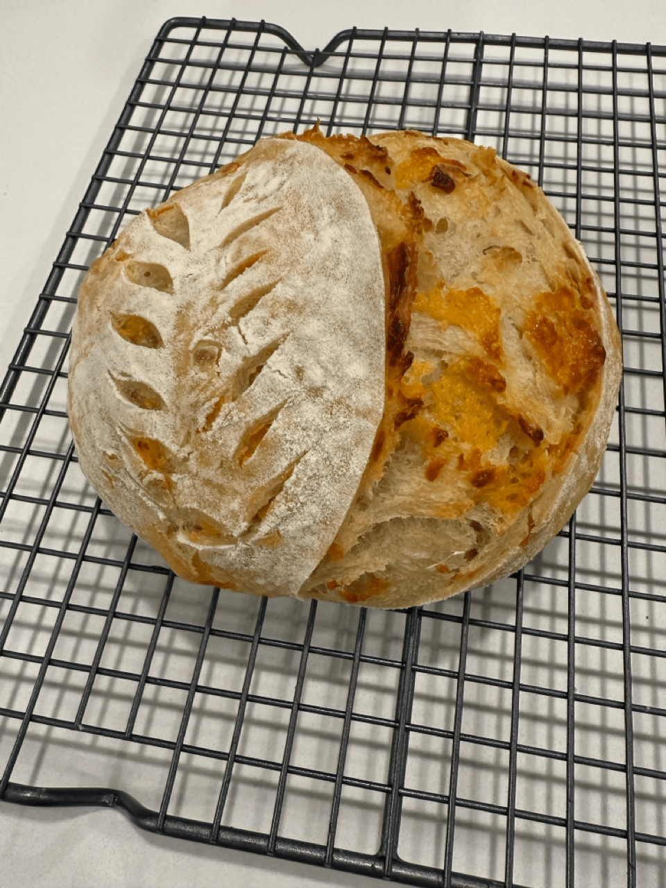 Mini Cheddar Sourdough Loaf