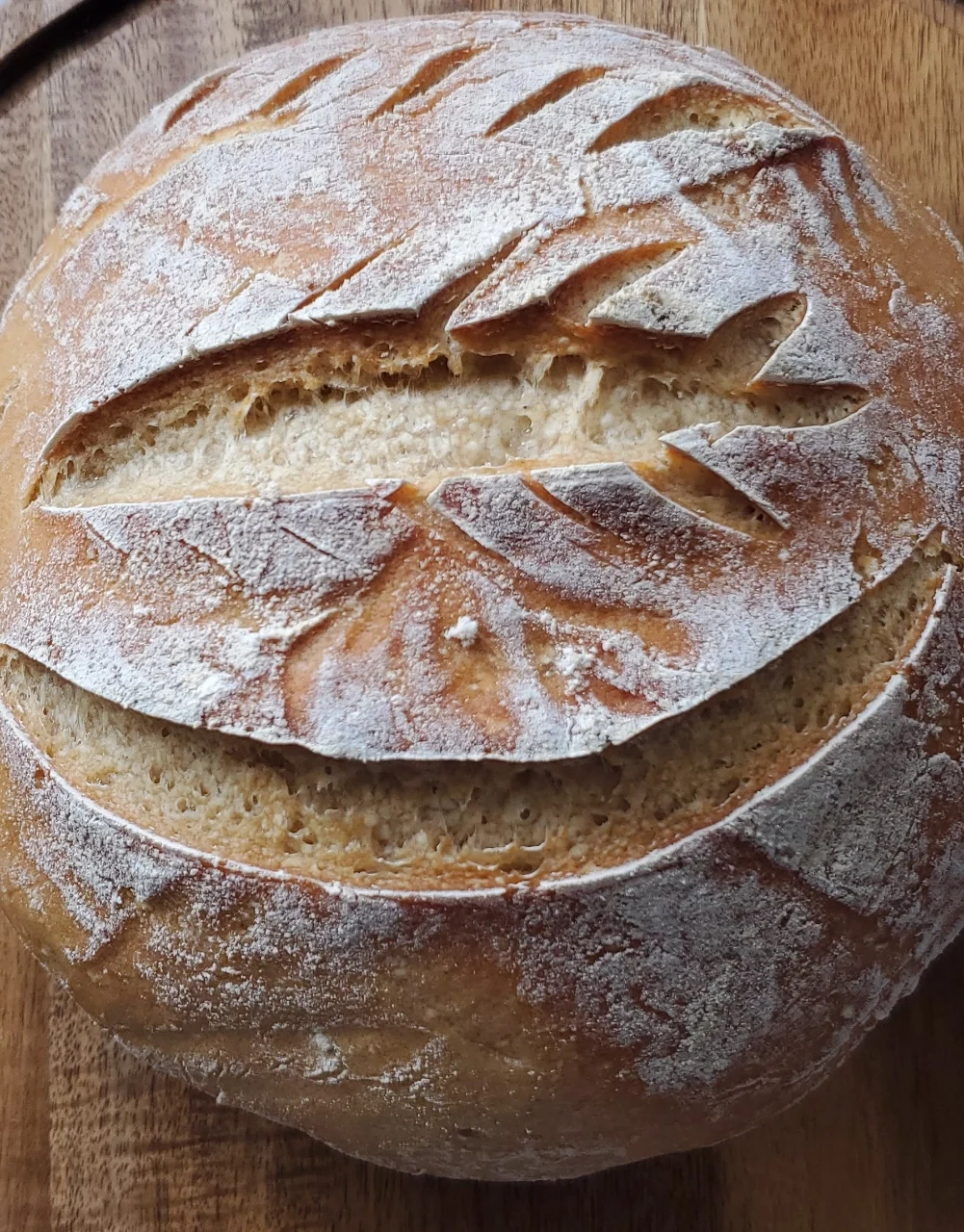 Gluten Free Sourdough Artisan Bread