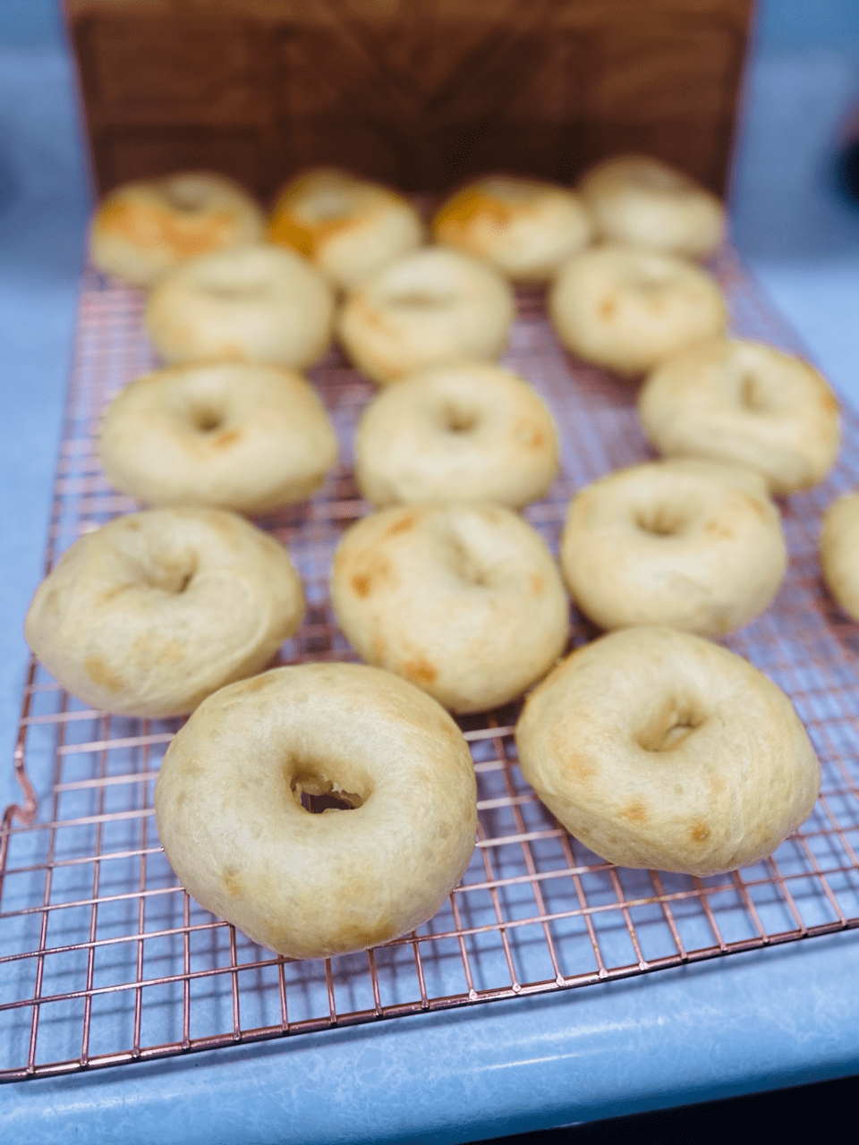 Sourdough bagels (2count)