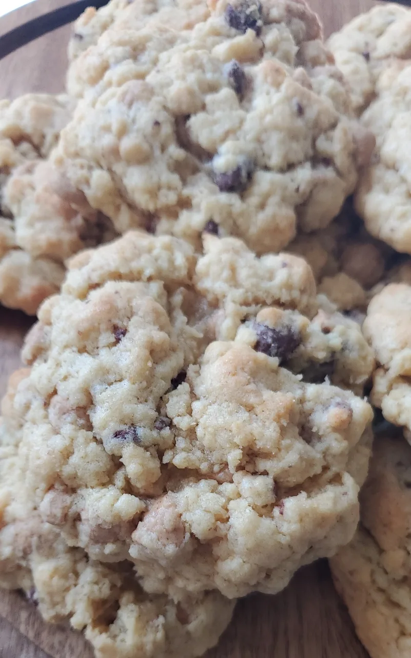 Sourdough Reese's Peanut Butter Chocolate Chip (5)