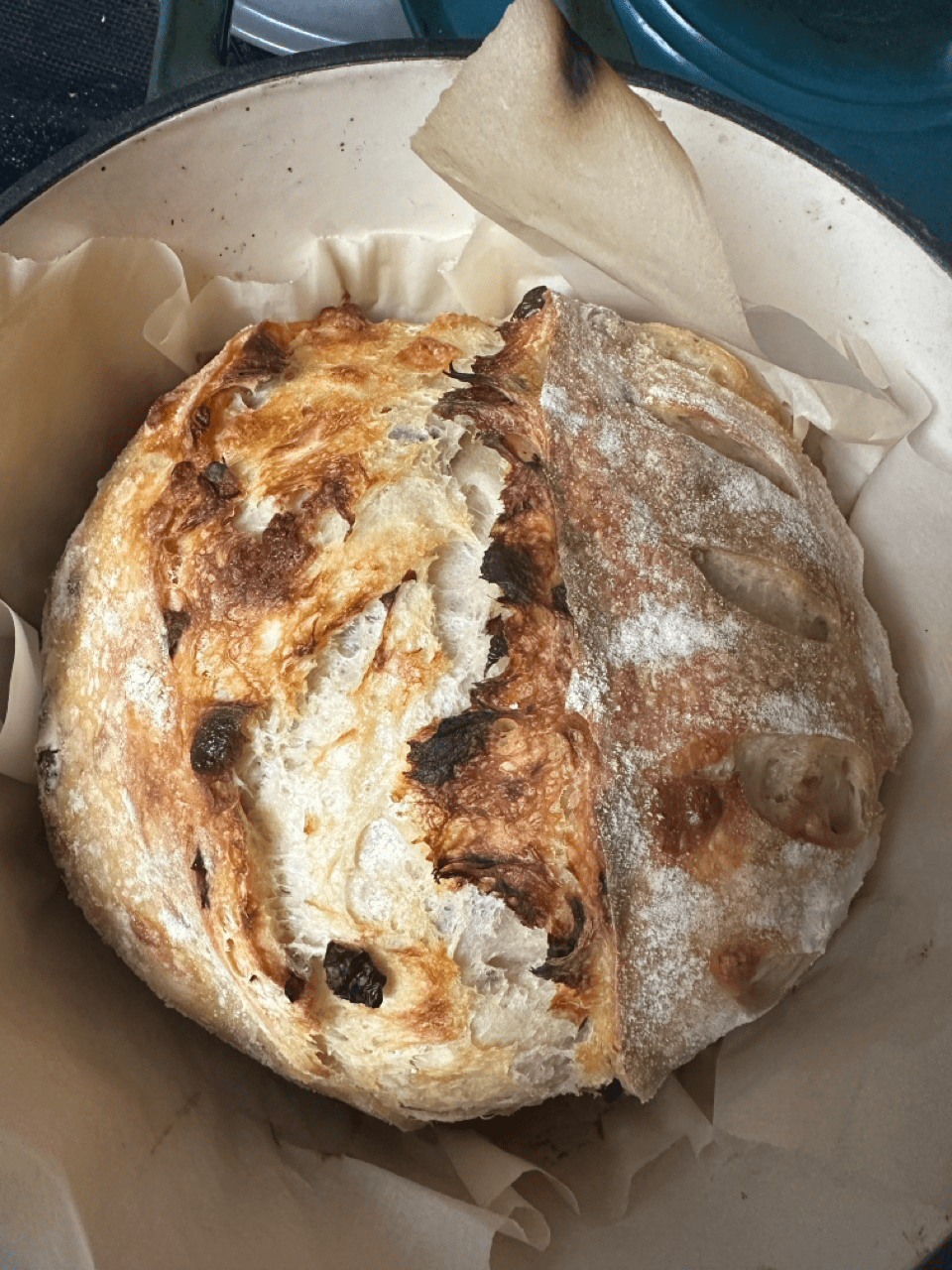 Craisin White Chocolate Sour Dough Bread Medium