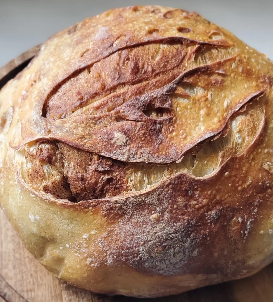 Sourdough Artisan Bread-Cinnamon