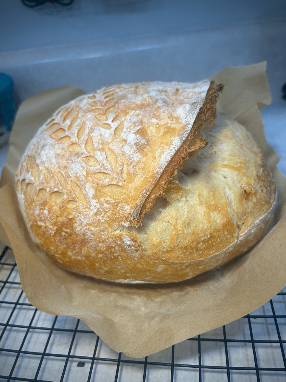 Sourdough loaf (white)