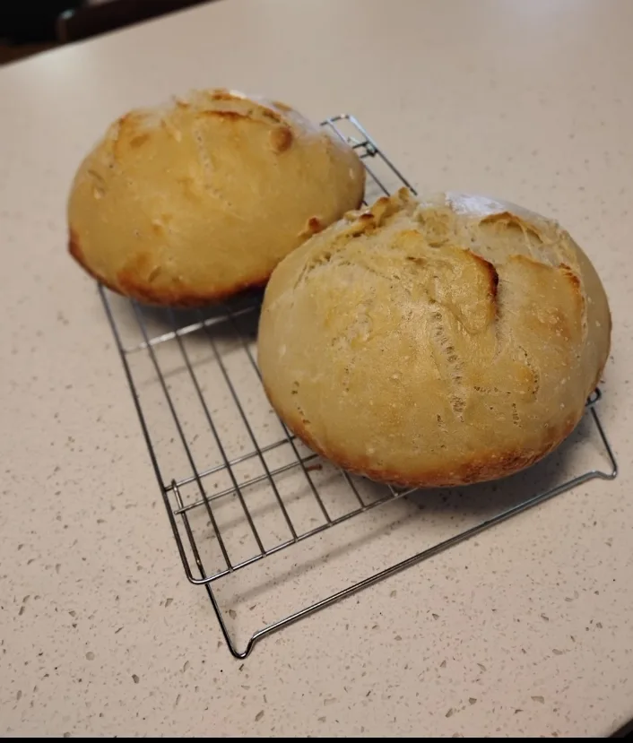 Natural Yeast Bread (sourdough)