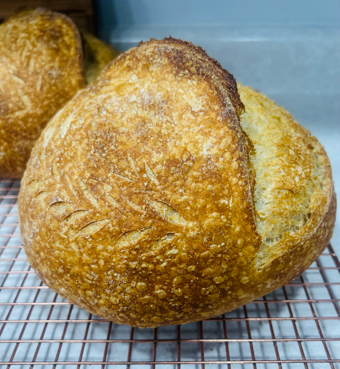Sourdough-wheat loaf