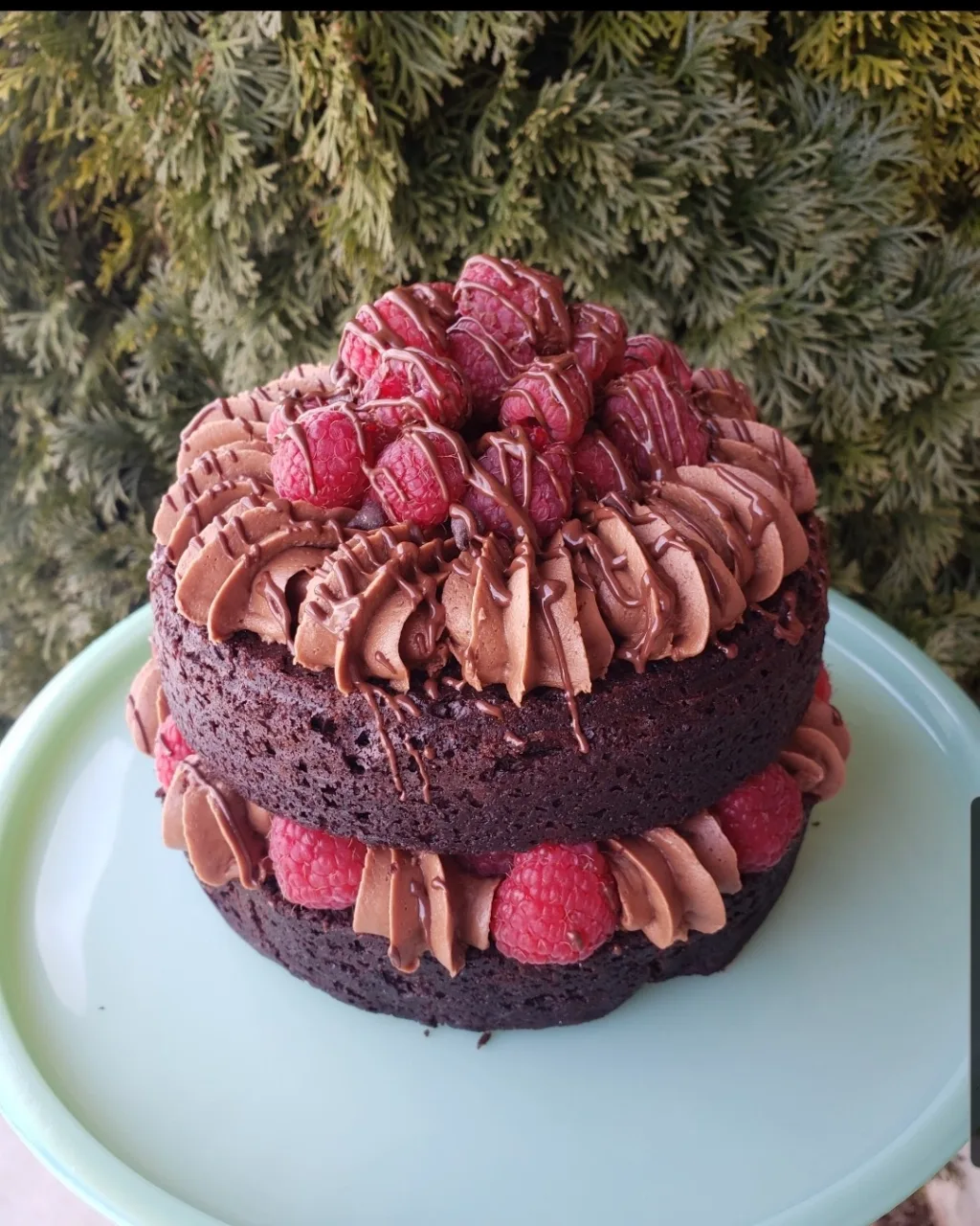 2 Layer Cake (Regular)