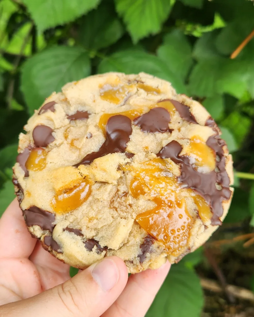 Vegan & Gluten Free Chocolate Chip Cookie