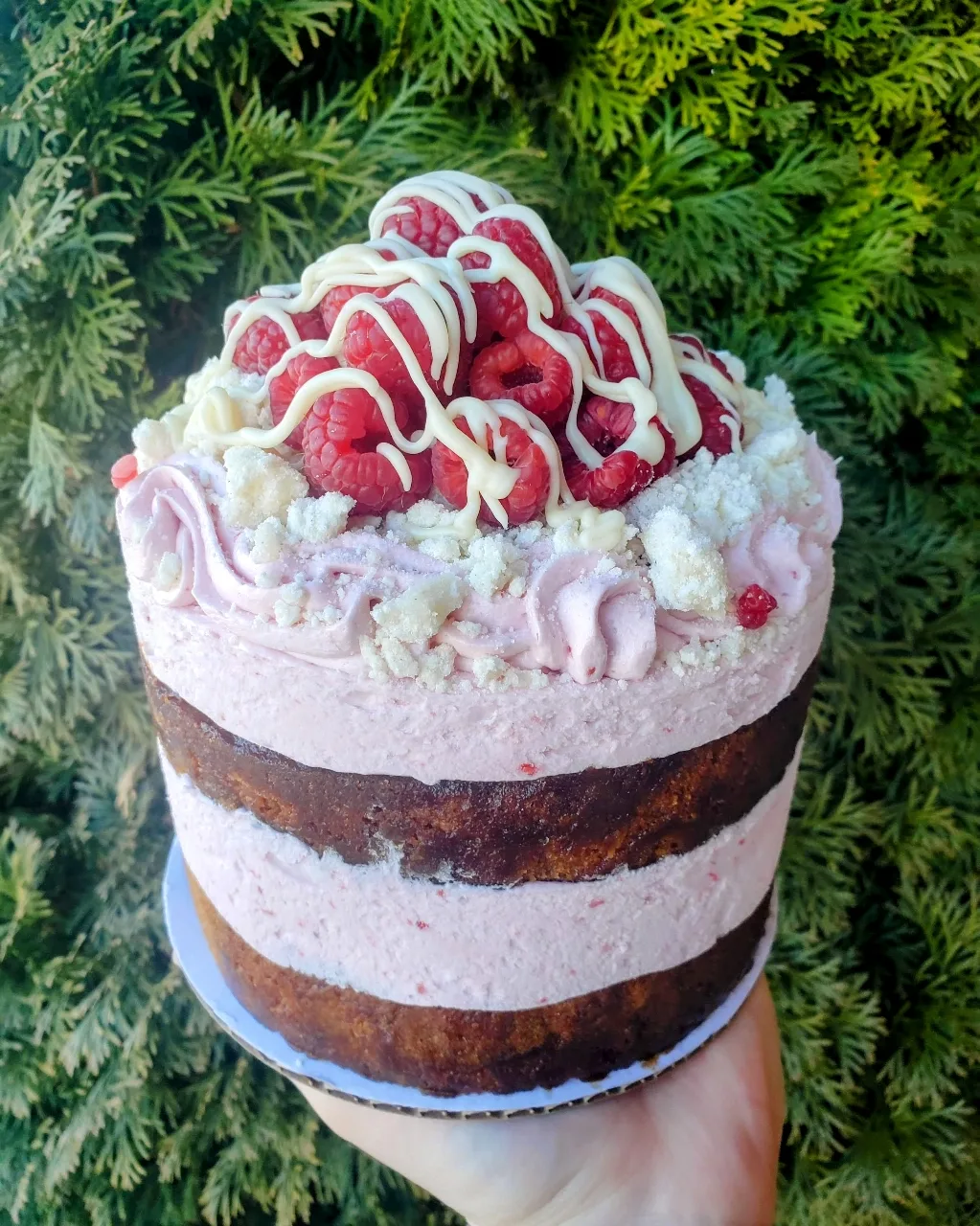 2 Layer Cake (Vegan and Gluten Free)