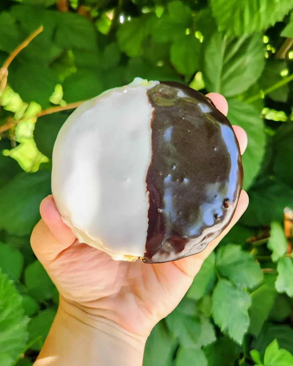 Black & White Cookies (regular)