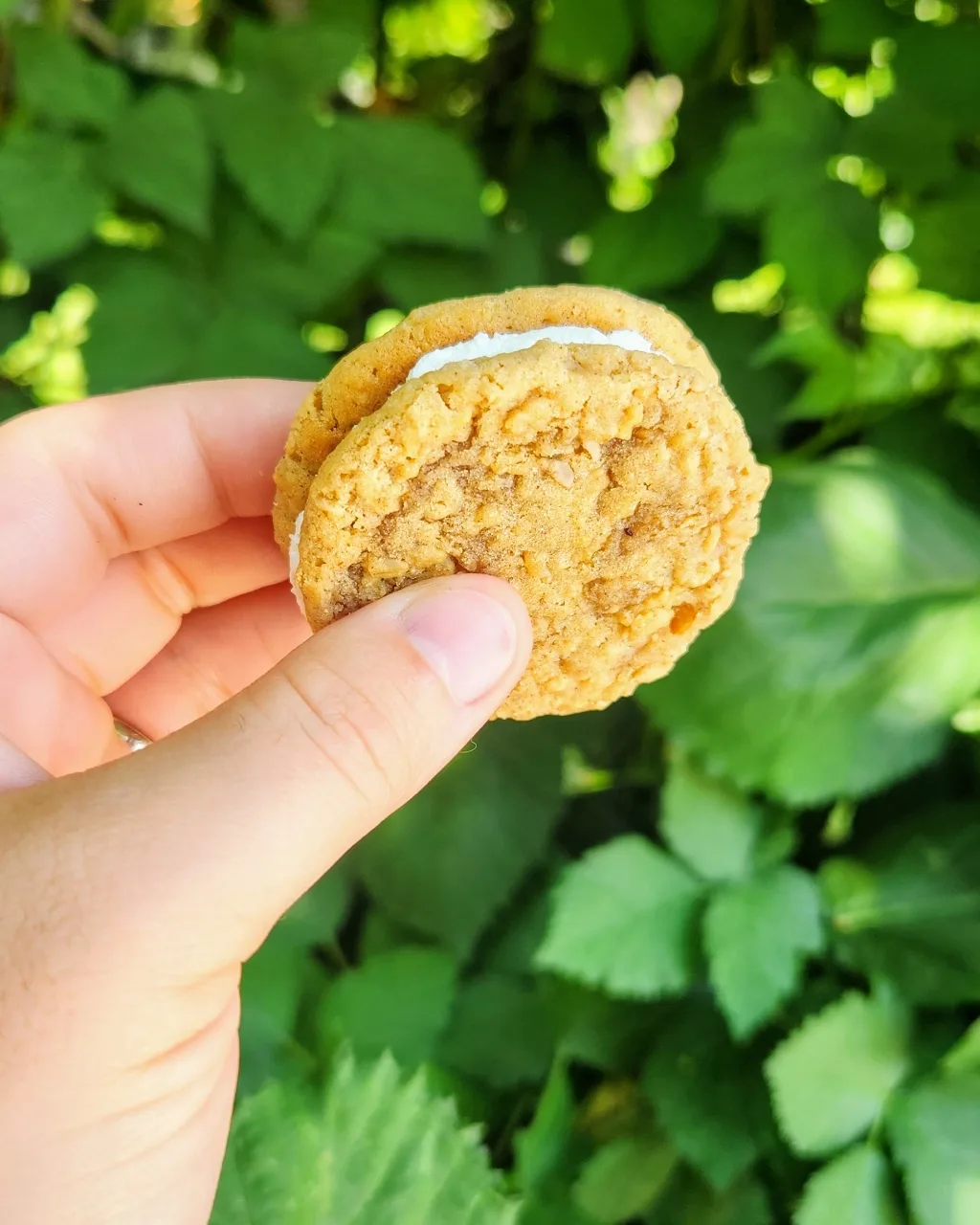 Mini Oatmeal Creme Pies (x2) Regular)