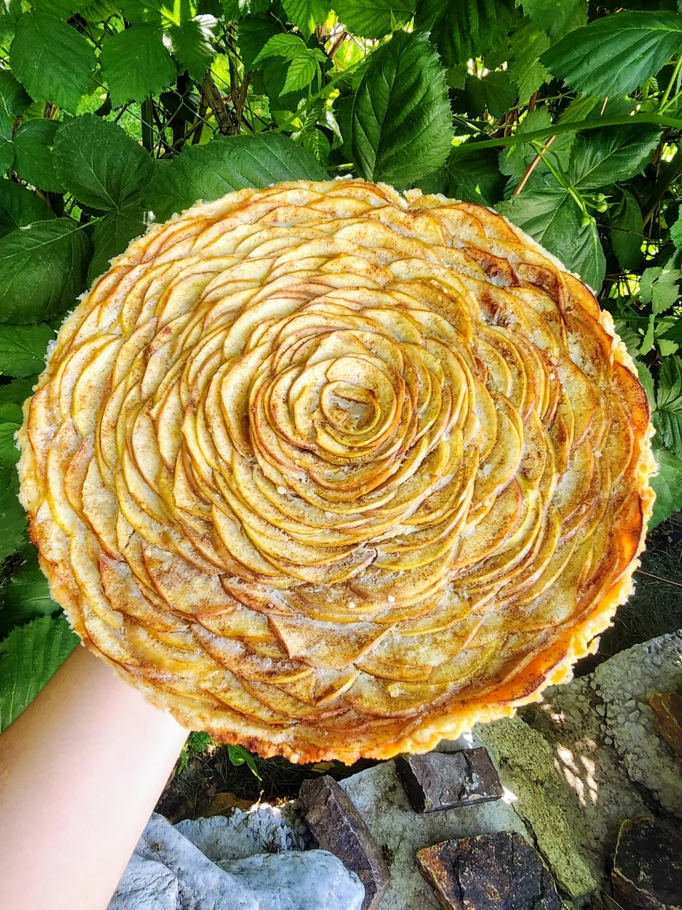 Apple Buttermilk Rosette Pie (12 inch, Regular)