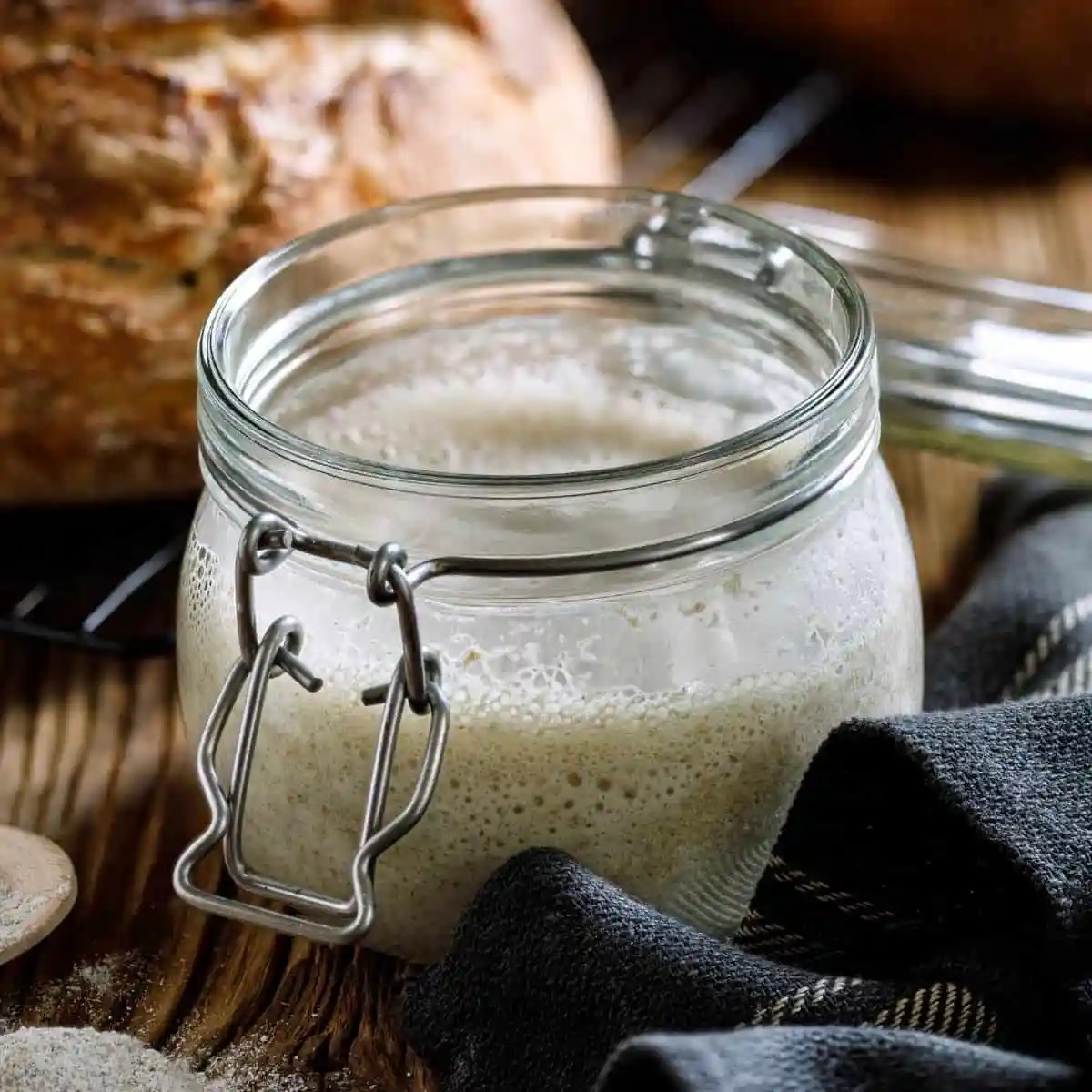 Sourdough Starter