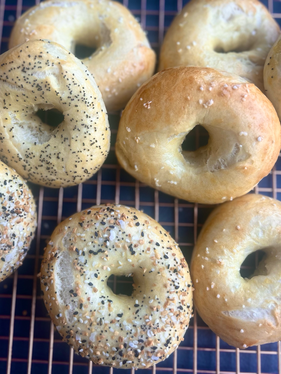 Sourdough bagels (5 count)