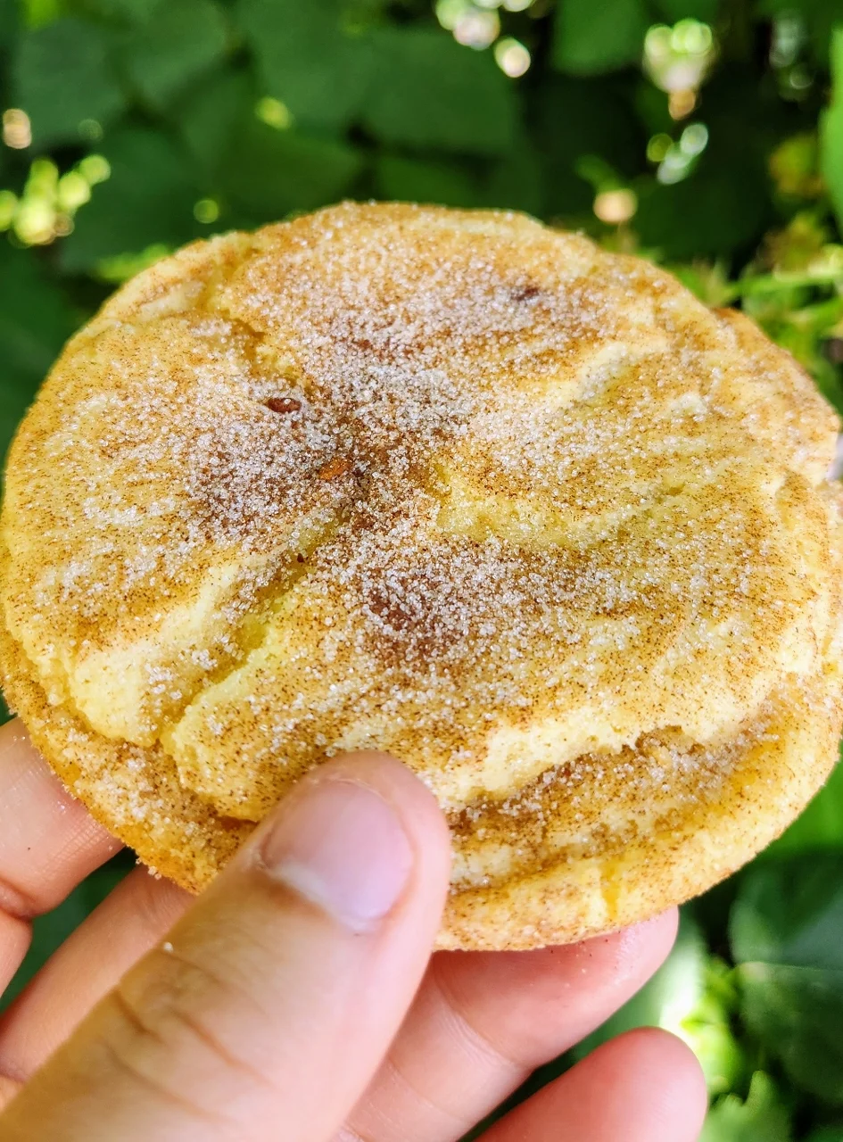 Caramel Snickerdoodles, Regular, Med.