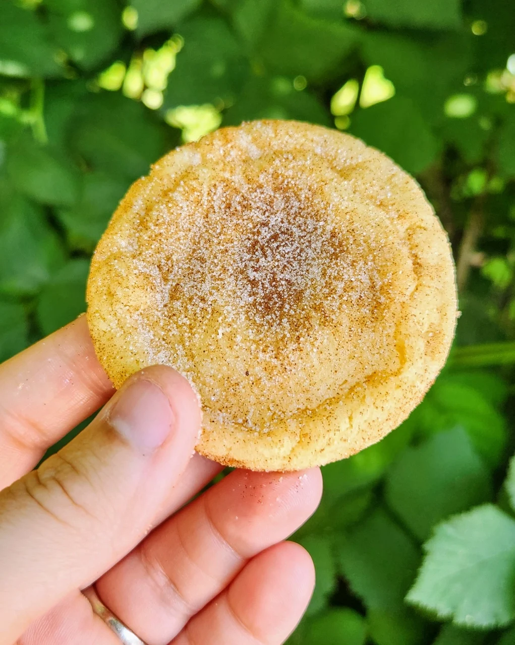 x2 Caramel Snickerdoodles, Regular