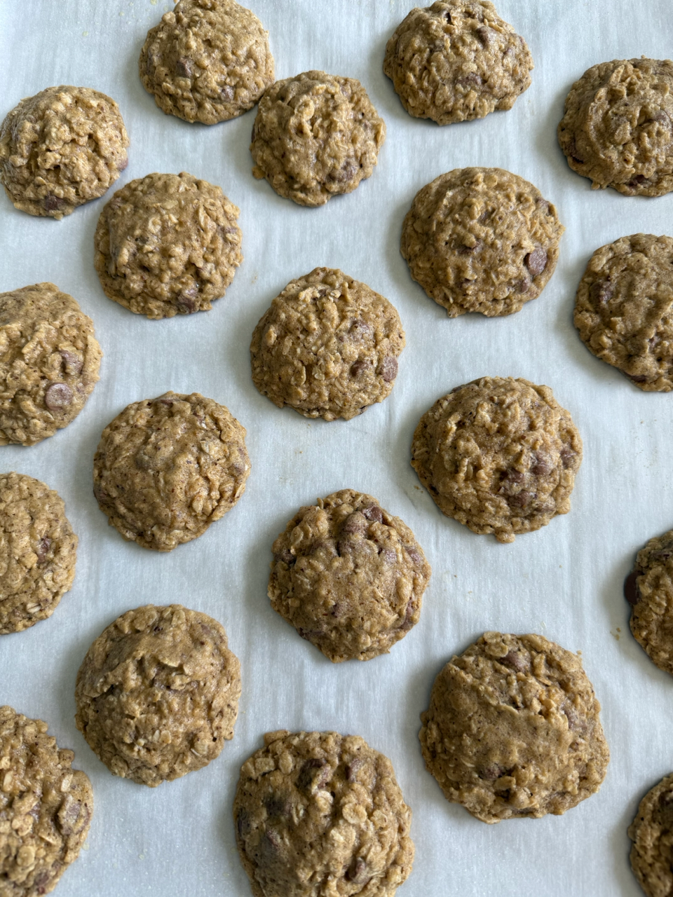 Lactation cookies (1 batch, 20+ cookies)