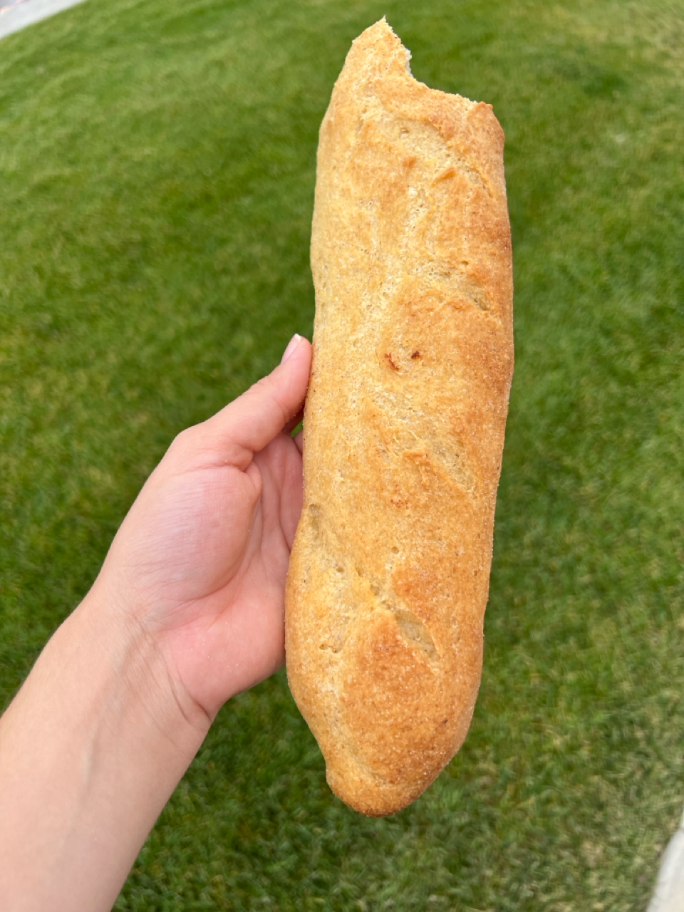 GLUTEN FREE Baguettes