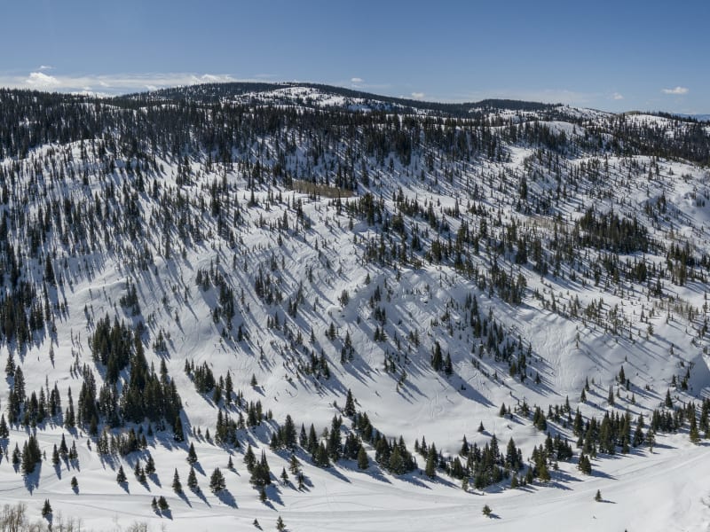 Mobile Landing Page - Wolf Creek Ski Area - Colorado