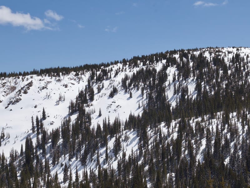 Second Creek Ridge West
