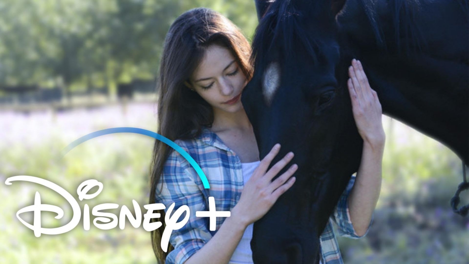 Kate Winslet darà la voce ad un cavallo per Disney+!