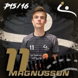 Viktor Magnusson