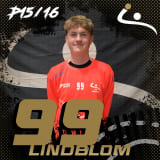 David Lindblom