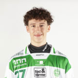 Albin Gradenäs