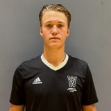 Vilhelm Samuelsson Skygge