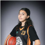 Arnoosha Vakili Shayan