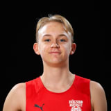 Hugo Hansson