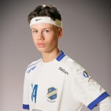 Theo Almgren