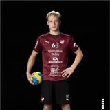 Hannes Thor