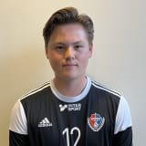 Ludvig Hedin