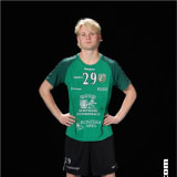 Levis Steenson