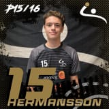 Kingston Hermansson