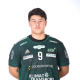 Dimitrije Protic