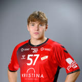 Rikard Ulander