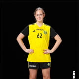 Villemin Strauss