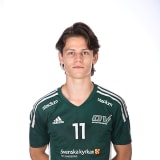 Tage Berg