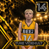 Ture Videhult
