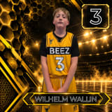 Wilhelm Wallin
