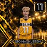 Leo Magnusson
