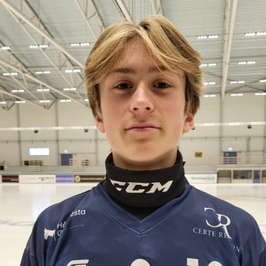 Teodor Klerefors