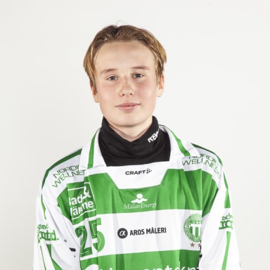 Emil Hägg