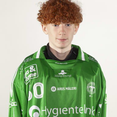 Sixten Holm