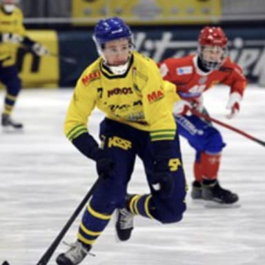 Henrik Blom
