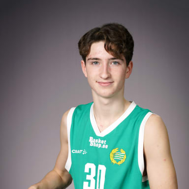 Alexander Nyberg