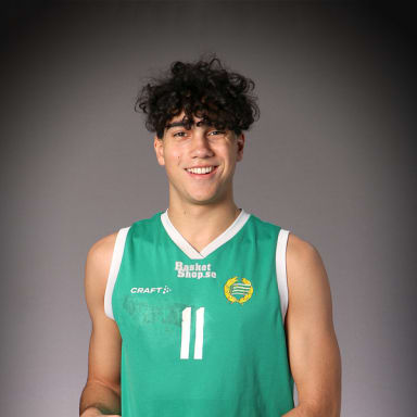 Lucas Almeida Ledberg